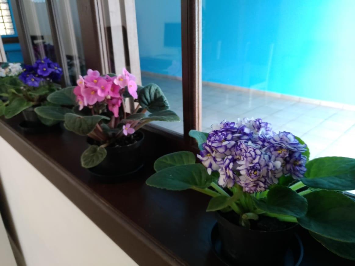 Hostel Villa Pomerania Pomerode Zewnętrze zdjęcie
